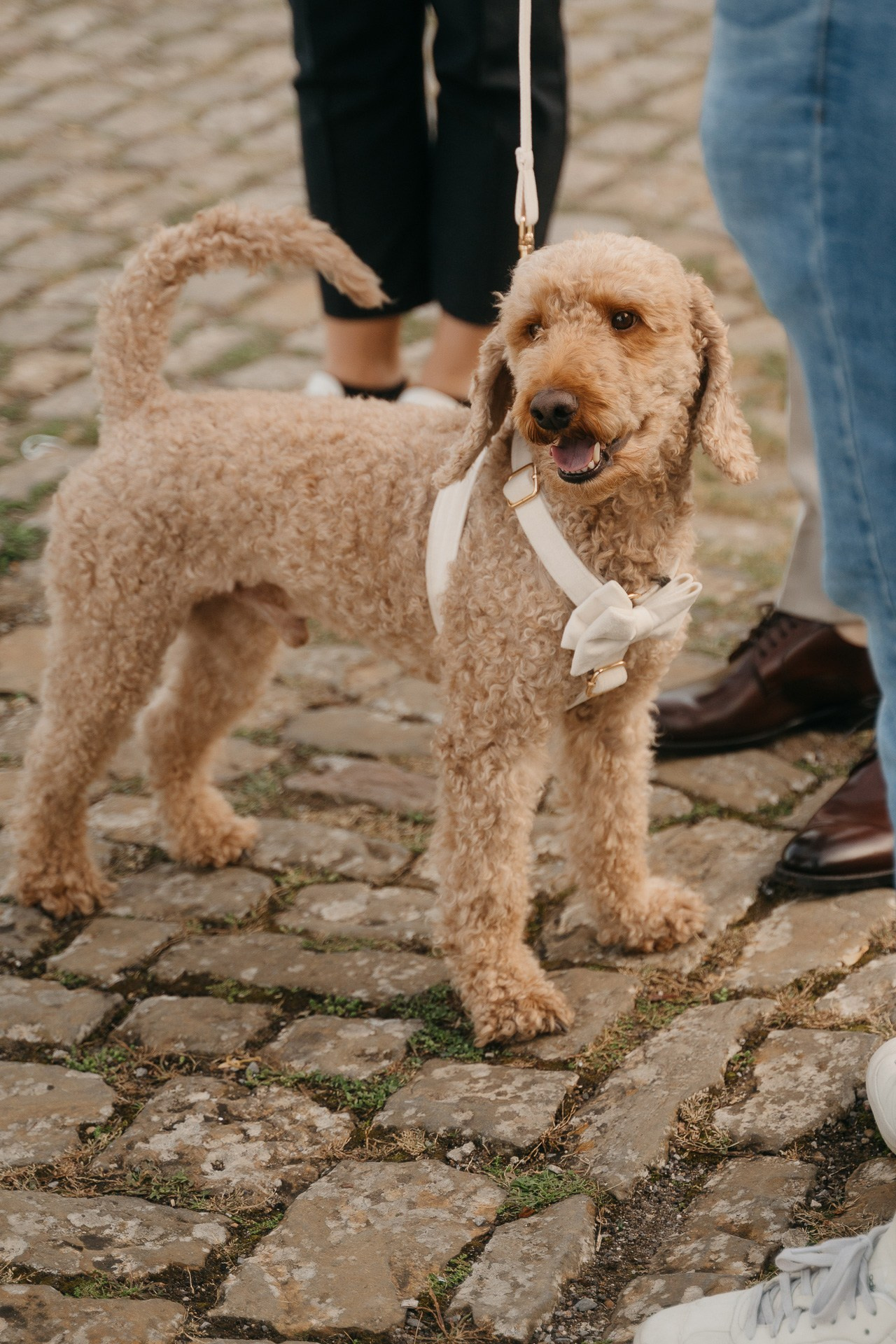 Schloss Solitude. Wedding photograper — Alex Popov photography Germany, Switzerland, Italy, France. Based in Stuttgart