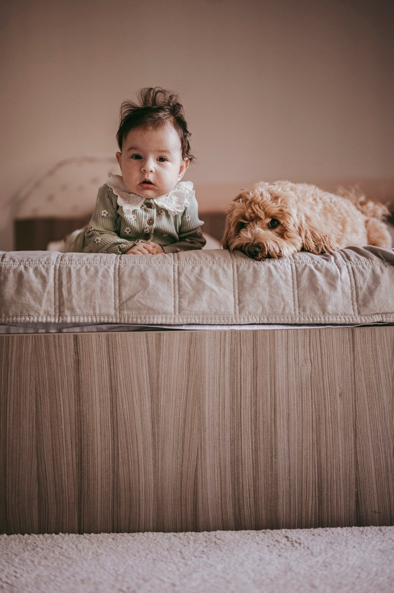 Katarina, Marko i Elena / porodicno fotografisanje kod kuce. Deciji i porodicni fotograf u Beogradu Oksana Skendzic