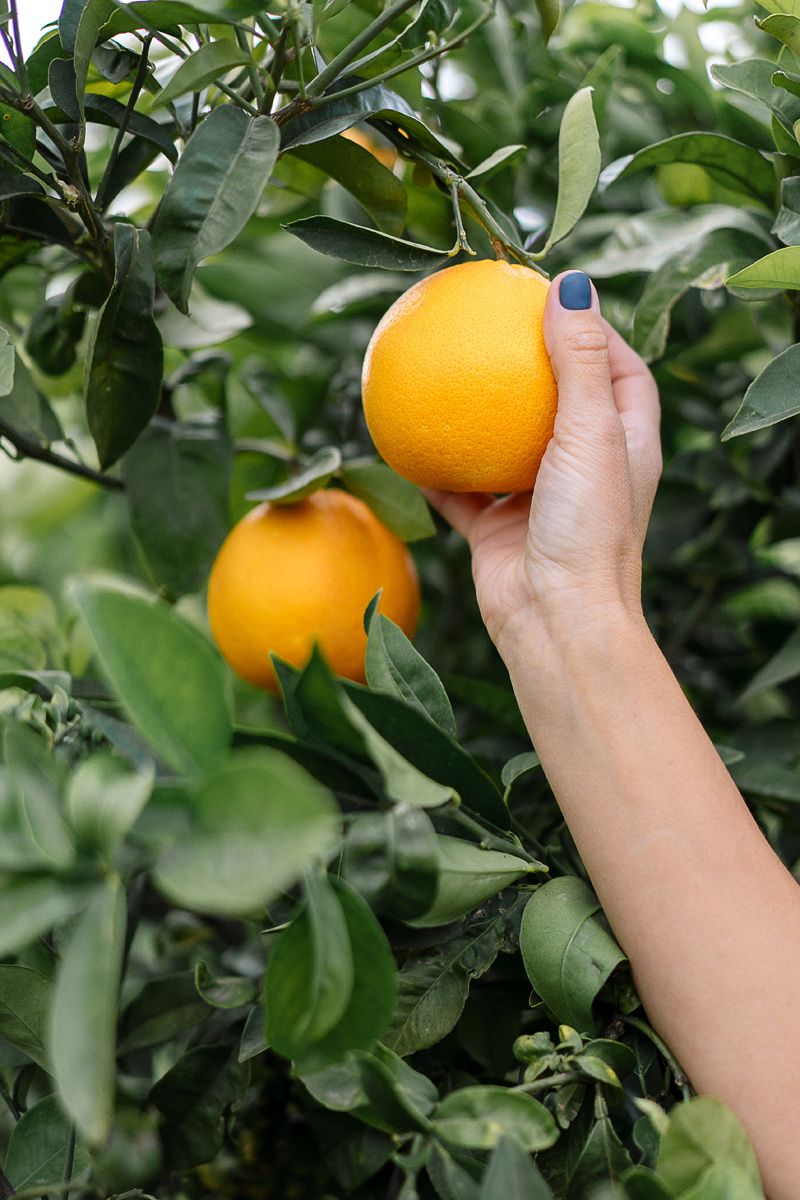 фотограф в бенидорме, аликанте, валенсии
