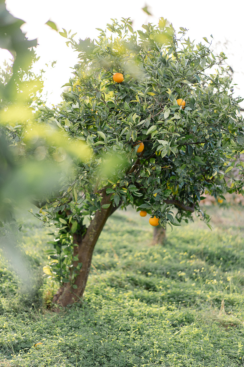фотограф в бенидорме, аликанте, валенсии