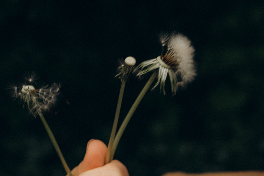Vater & Tochter. Familien & Hochzeitfotografin Nadja Holzmann