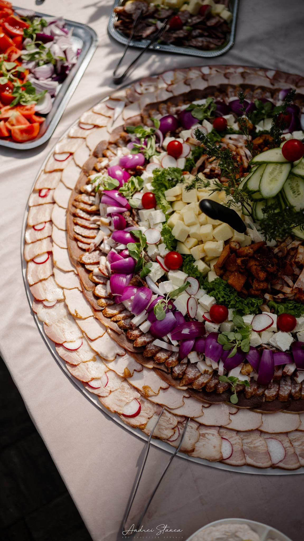 Portofolio. Andrei Stanea