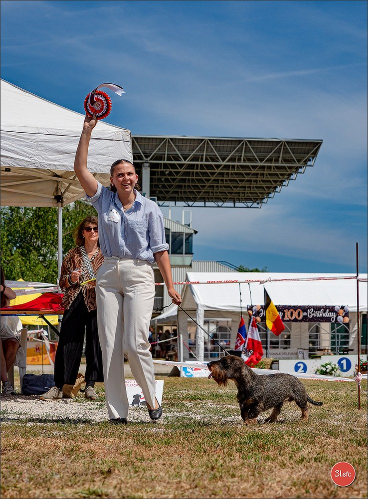 Expo canine (Teckel) Strasbourg Hoerdt  🇫🇷  5-6/07/2025. Photographe à Strasbourg | Portraits, Studio, Enfants, Événements