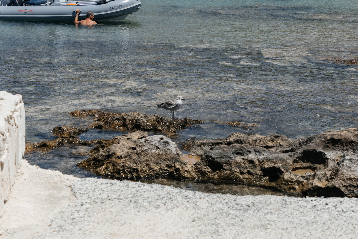 wedding photographer Paphos