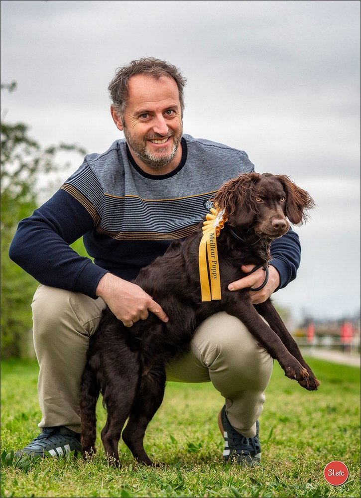 Expo canine 🇫🇷 Angers 22-23/03/2025. Photographe à Strasbourg | Portraits, Studio, Enfants, Événements