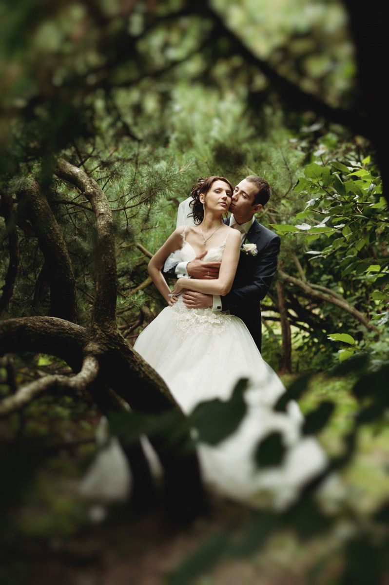 Wedding Collection. Portret, trouw en familie fotograaf in Amsterdam en Almere