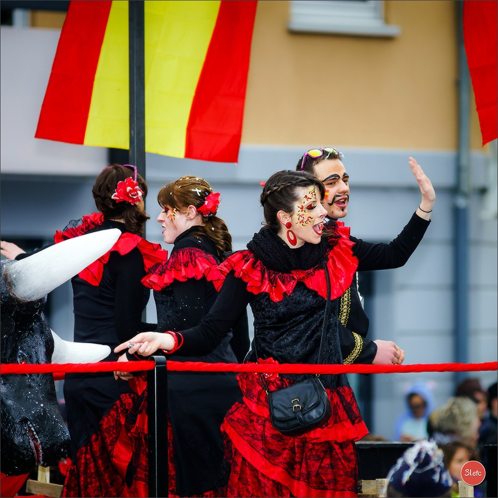 Concerts . Carnavals . Festivals. Photographe à Strasbourg | Portraits, Studio, Enfants, Événements