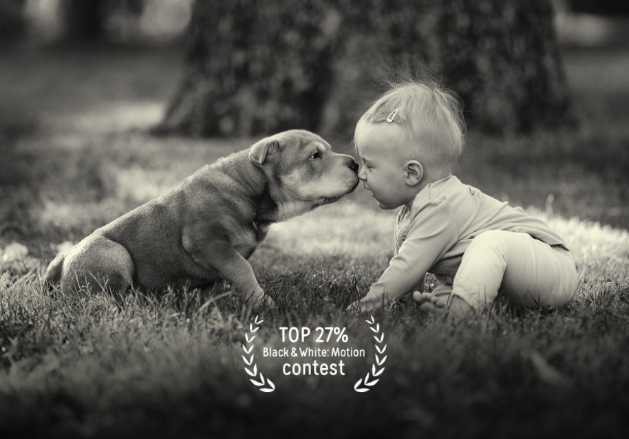 Reconocimientos. Fotógrafo Madrid. España. Elena Lukicheva