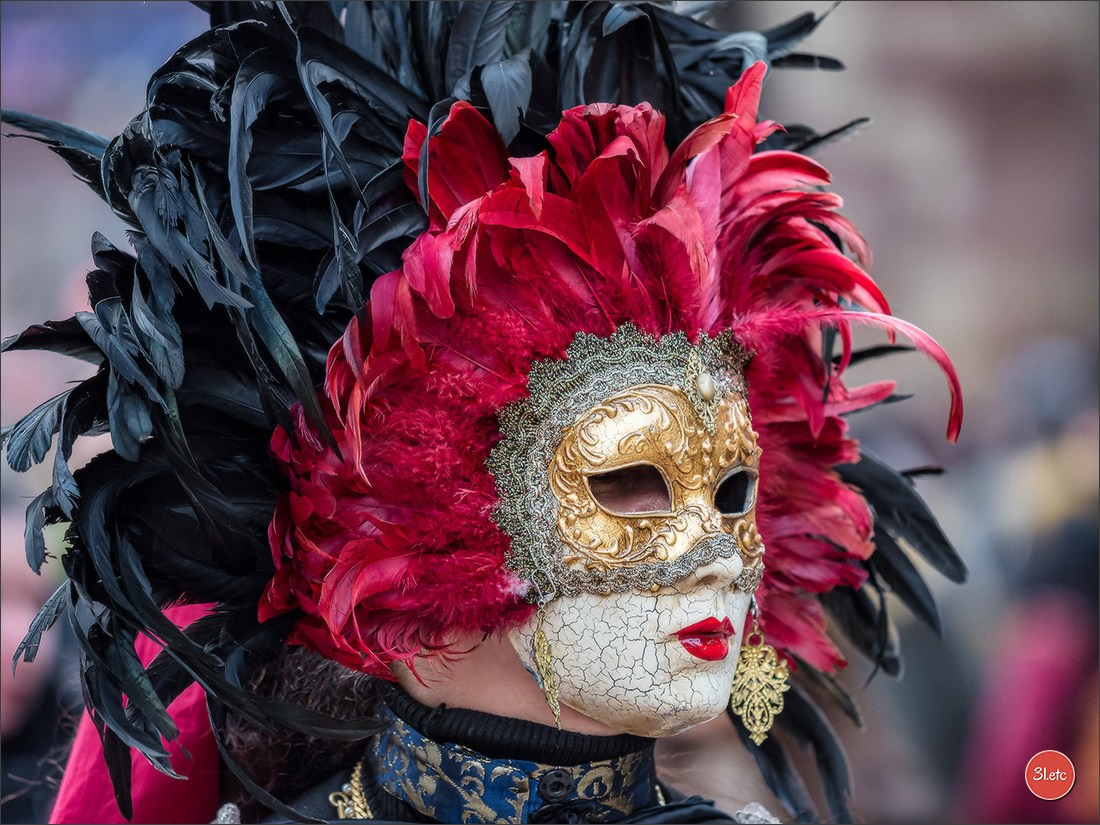 Carnaval venitien de Rosheim 2024. Photographe à Strasbourg | Portraits, Studio, Enfants, Événements