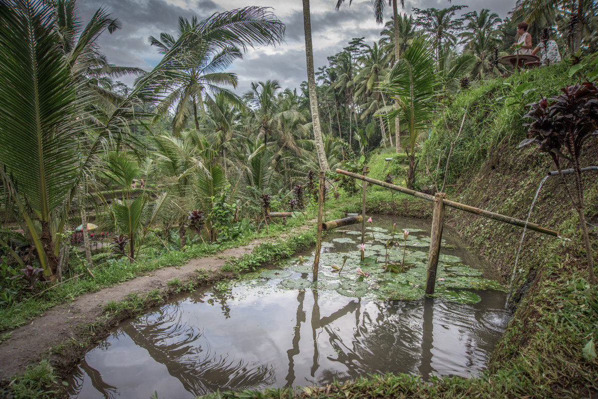 Indonesia. Bojana Žuža, photographer in Belgrade, Serbia