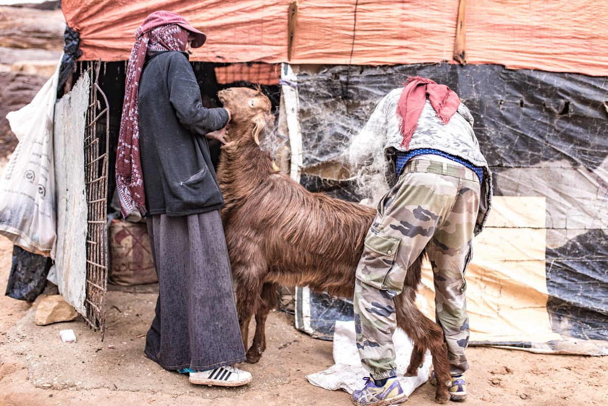 Jordan. Bojana Žuža fotograf u Beogradu 📷 Belgrade photographer