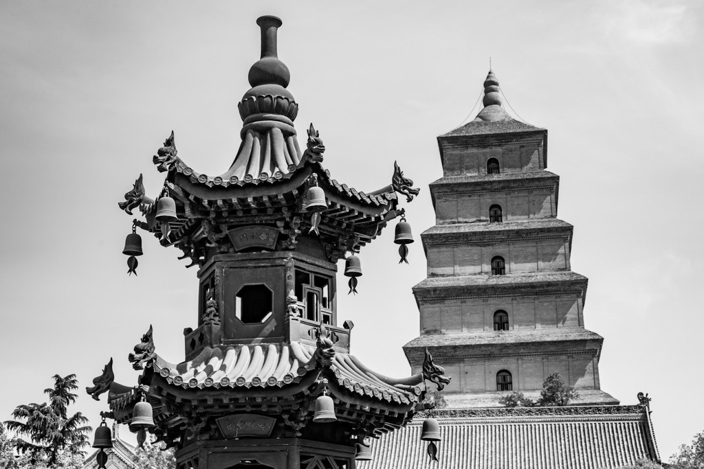 Sijan. Bojana Žuža fotograf u Beogradu 📷 Belgrade photographer