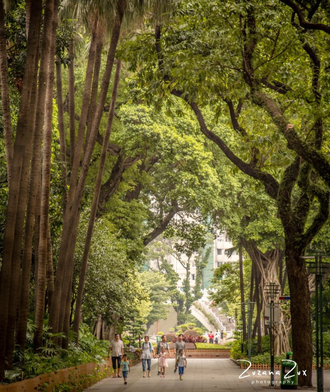 Kina. Bojana Žuža fotograf u Beogradu 📷 Belgrade photographer
