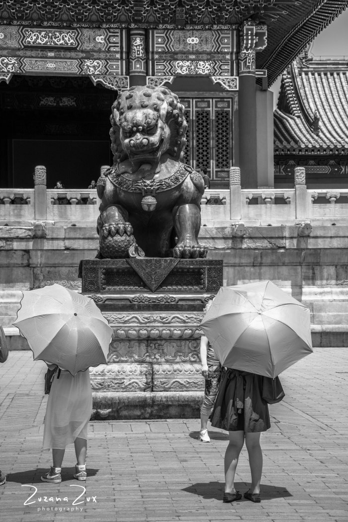 Kina. Bojana Žuža fotograf u Beogradu 📷 Belgrade photographer