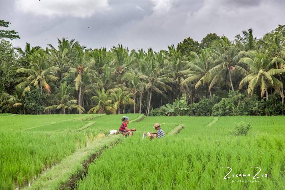 Indonesia. Bojana Žuža, photographer in Belgrade, Serbia