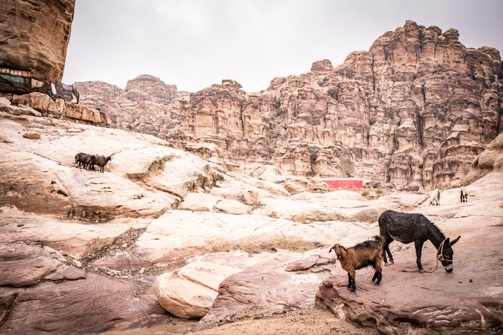 Jordan. Bojana Žuža fotograf u Beogradu 📷 Belgrade photographer