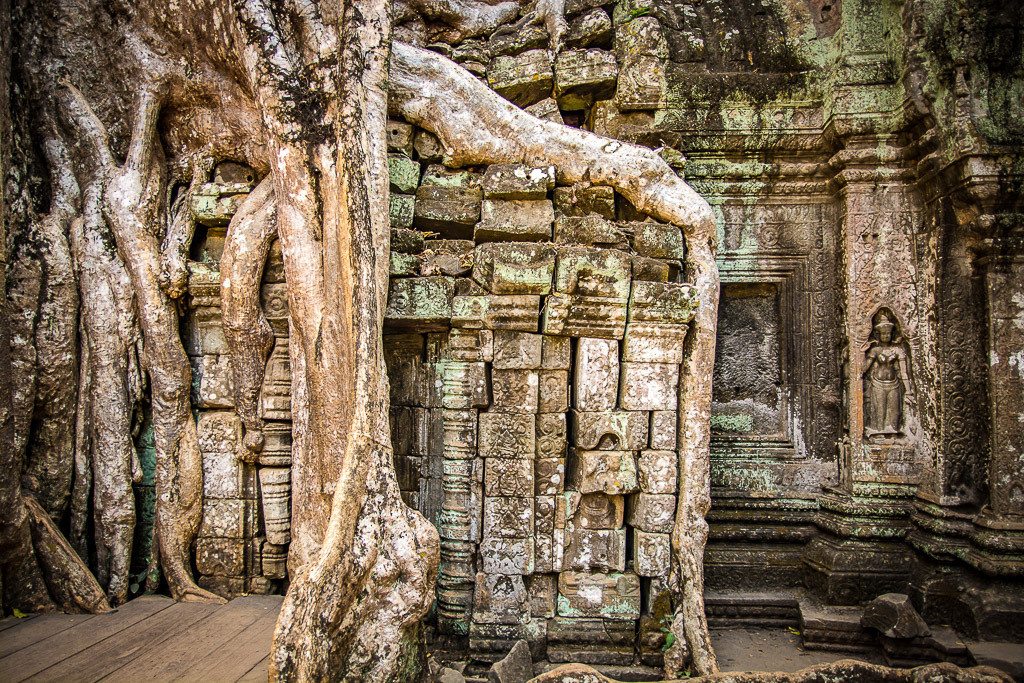 Kambodza. Bojana Žuža fotograf u Beogradu 📷 Belgrade photographer