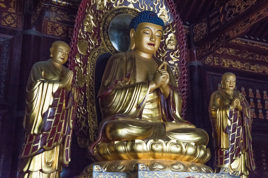 Sijan. Bojana Žuža fotograf u Beogradu 📷 Belgrade photographer