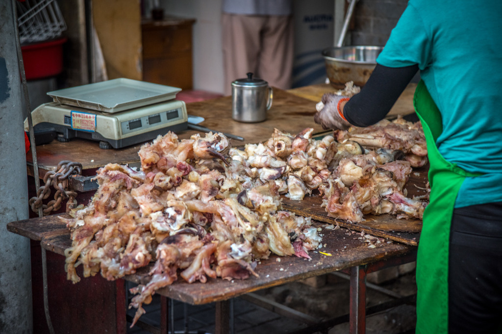 Sijan. Bojana Žuža fotograf u Beogradu 📷 Belgrade photographer