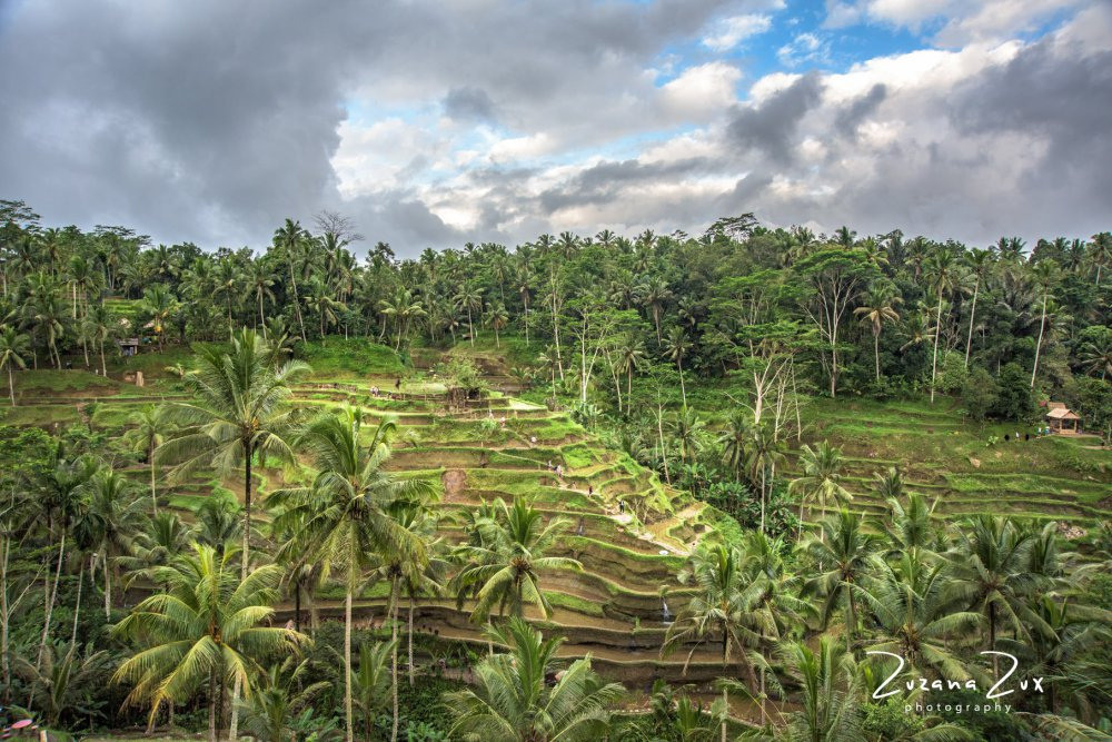 Indonesia. Bojana Žuža, photographer in Belgrade, Serbia