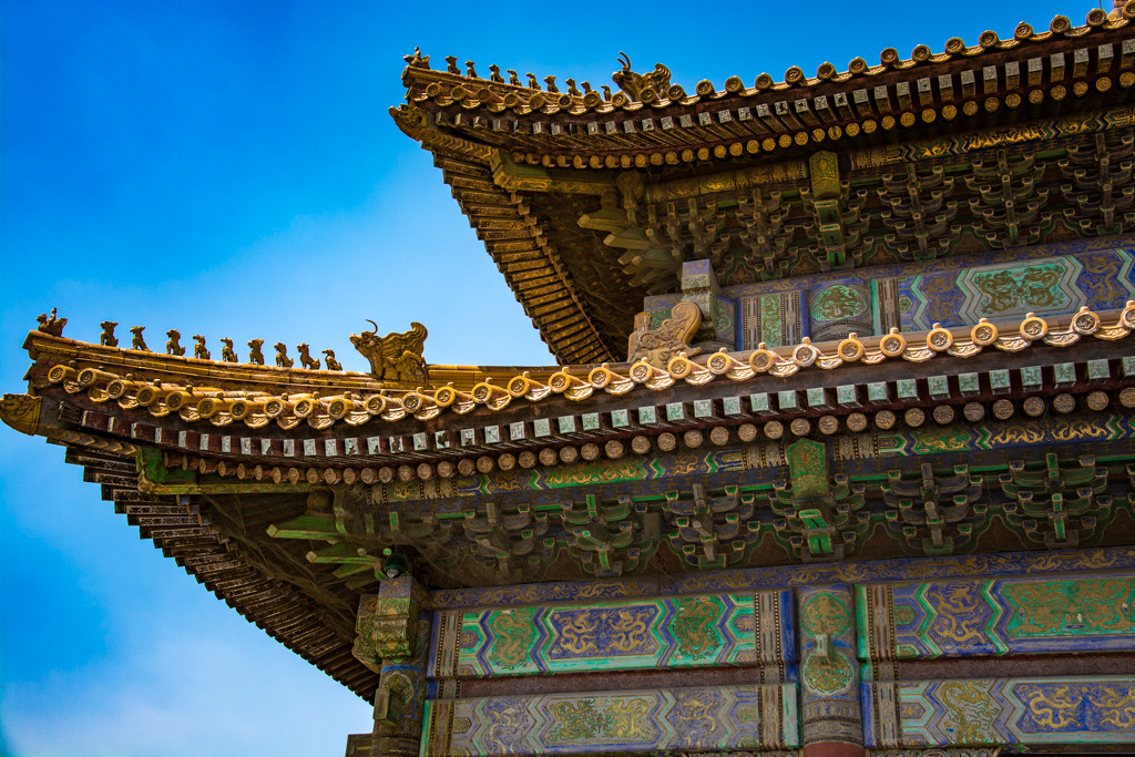 Kina. Bojana Žuža fotograf u Beogradu 📷 Belgrade photographer