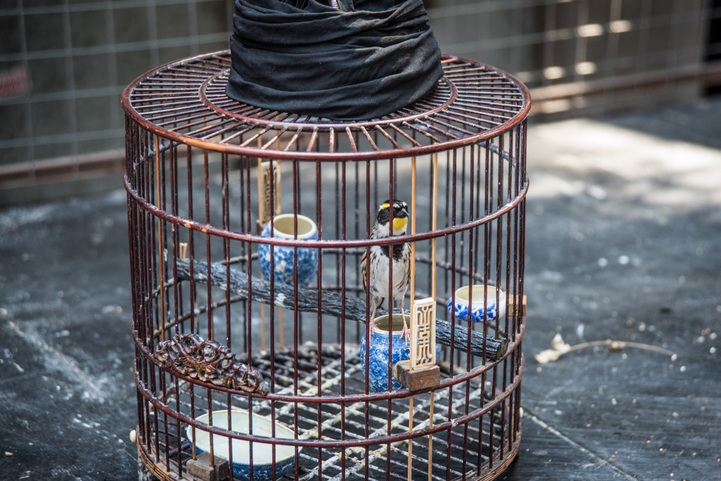 Sijan. Bojana Žuža fotograf u Beogradu 📷 Belgrade photographer