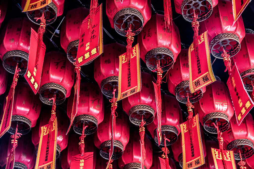 Sangaj. Bojana Žuža fotograf u Beogradu 📷 Belgrade photographer