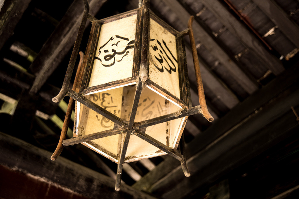 Sijan. Bojana Žuža fotograf u Beogradu 📷 Belgrade photographer