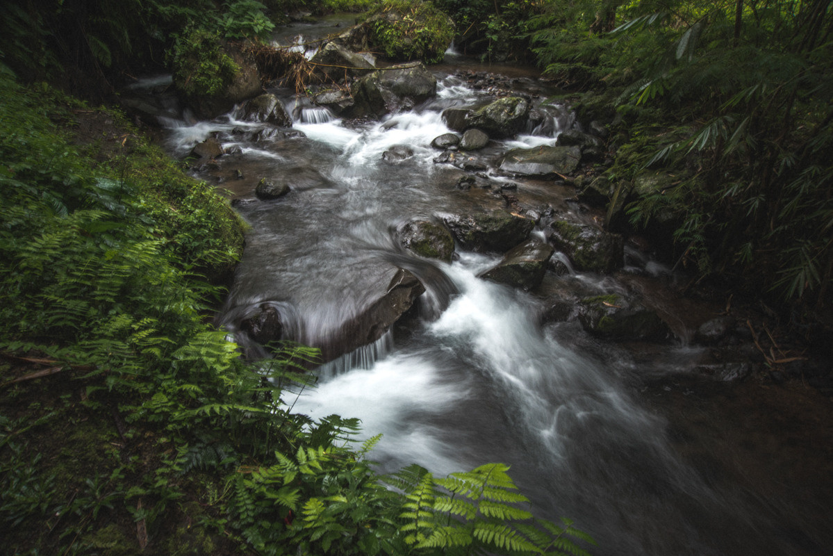 Indonesia. Bojana Žuža, photographer in Belgrade, Serbia