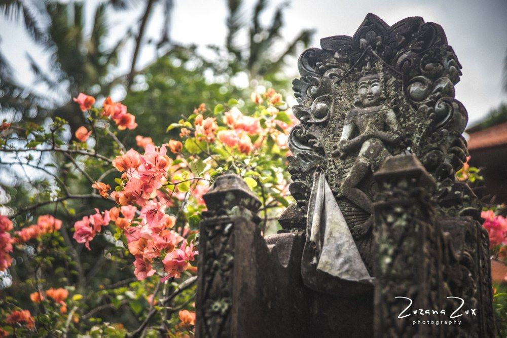 Indonesia. Bojana Žuža, photographer in Belgrade, Serbia