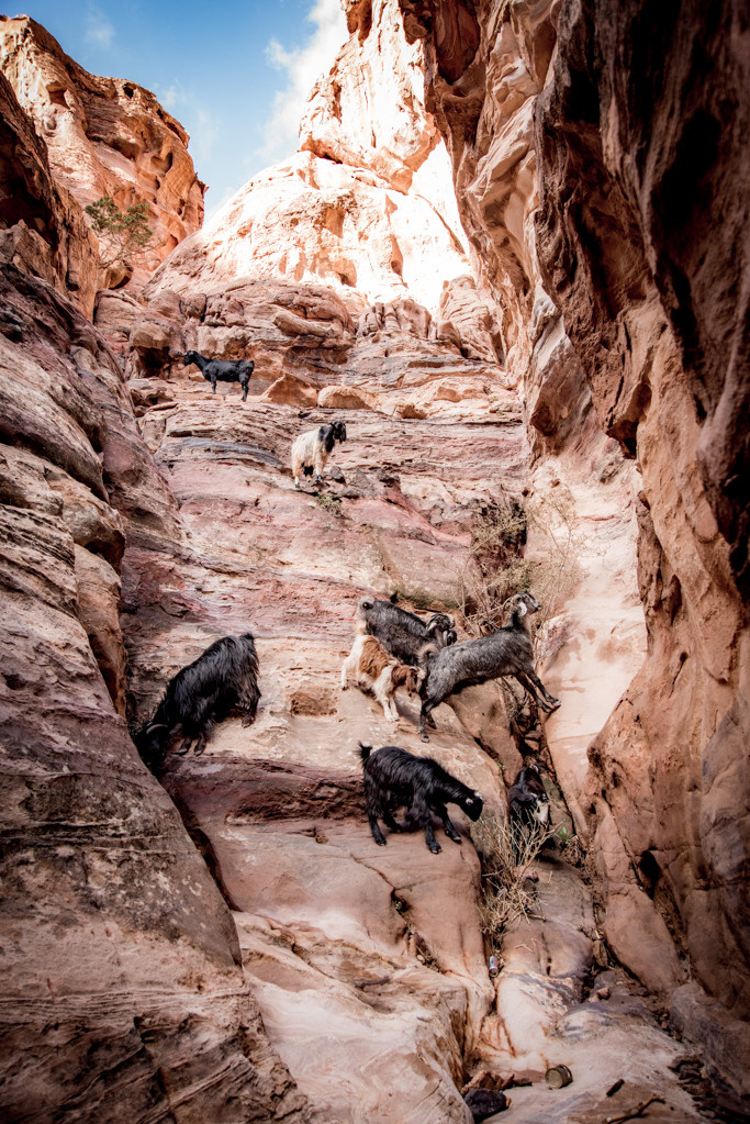 Jordan. Bojana Žuža fotograf u Beogradu 📷 Belgrade photographer