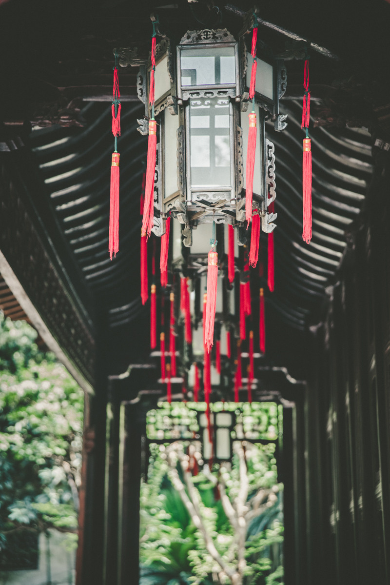 Sangaj. Bojana Žuža fotograf u Beogradu 📷 Belgrade photographer