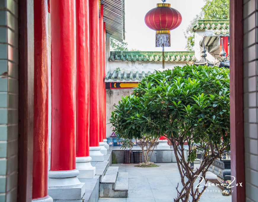 Kina. Bojana Žuža fotograf u Beogradu 📷 Belgrade photographer