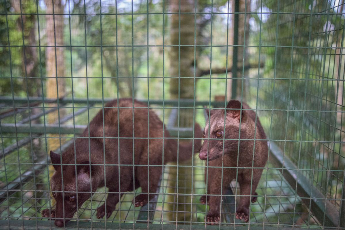 Indonesia. Bojana Žuža, photographer in Belgrade, Serbia