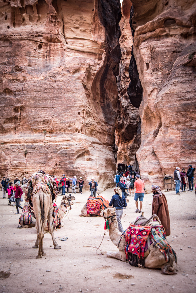 Jordan. Bojana Žuža fotograf u Beogradu 📷 Belgrade photographer