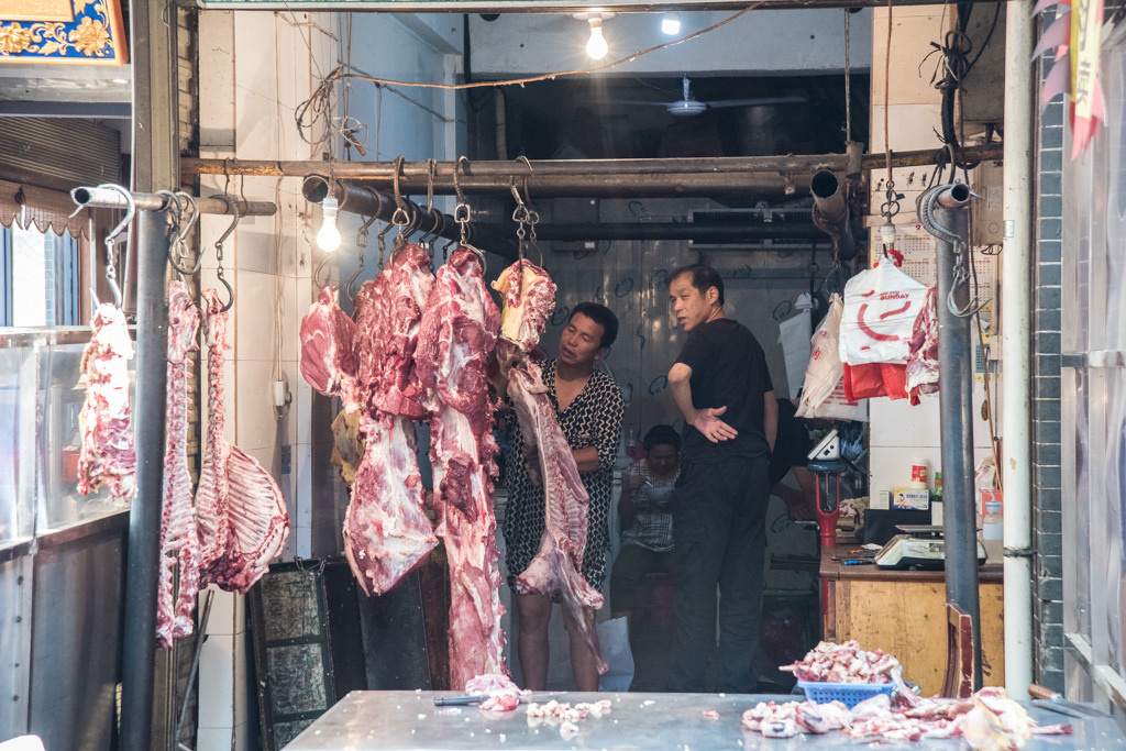 Sijan. Bojana Žuža fotograf u Beogradu 📷 Belgrade photographer