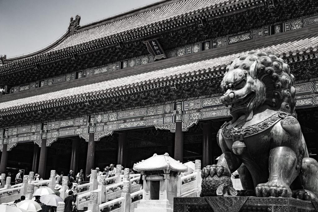 Kina. Bojana Žuža fotograf u Beogradu 📷 Belgrade photographer