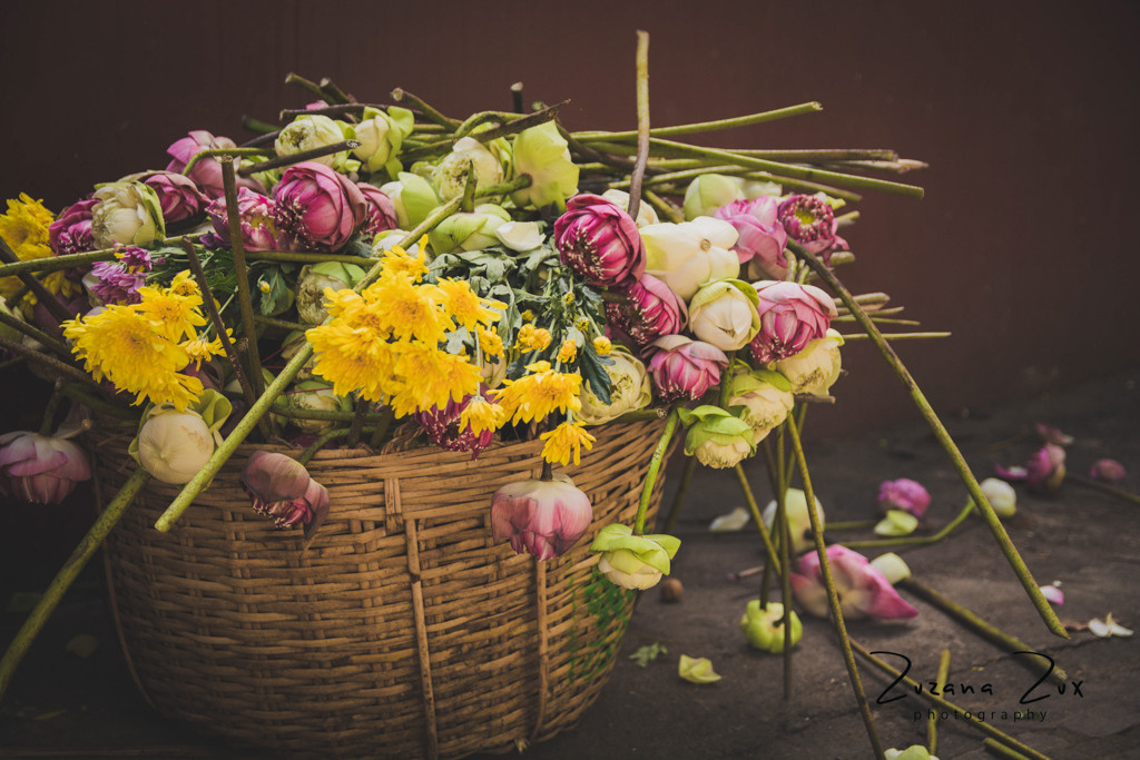 Kambodza. Bojana Žuža fotograf u Beogradu 📷 Belgrade photographer
