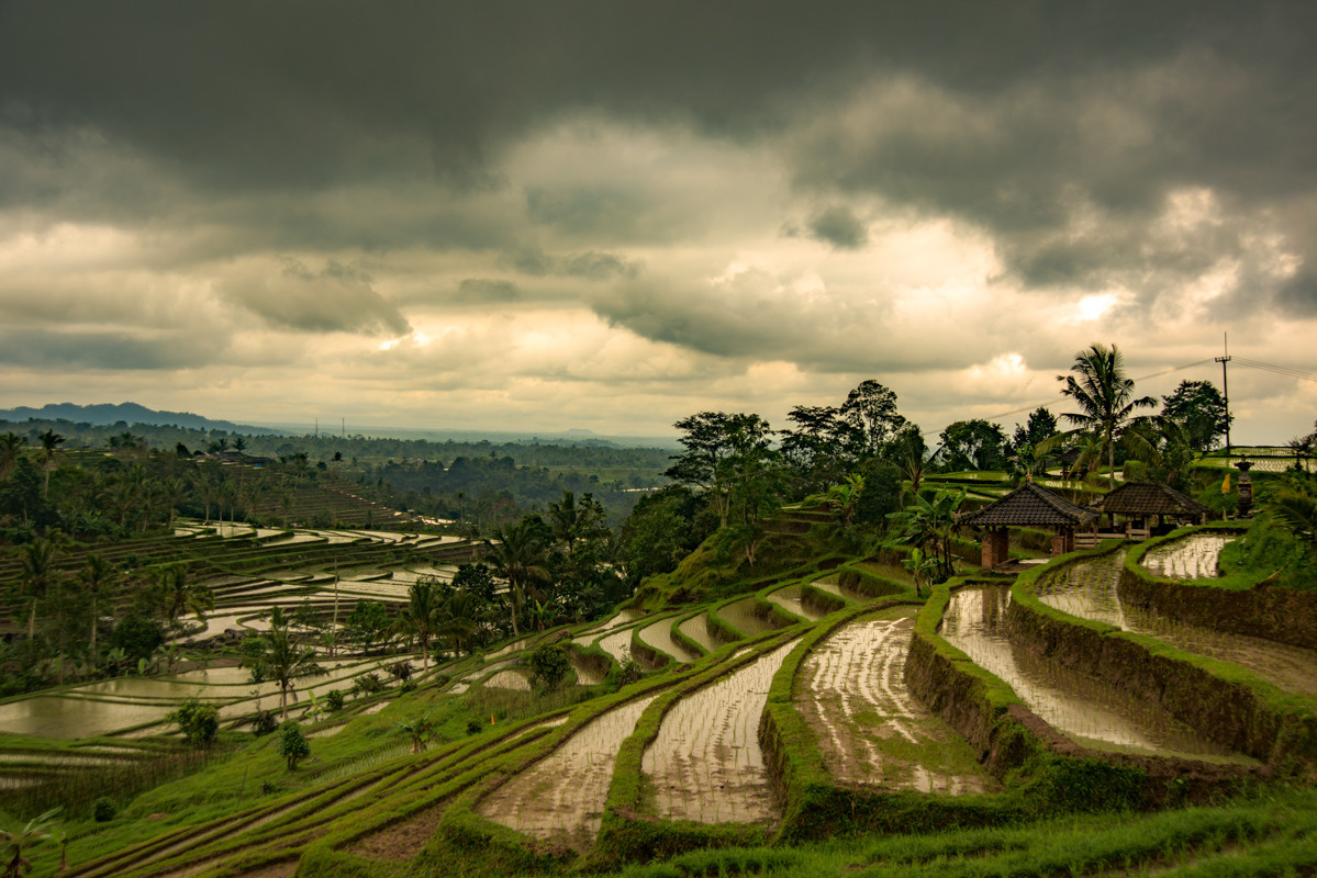 Indonesia. Bojana Žuža, photographer in Belgrade, Serbia