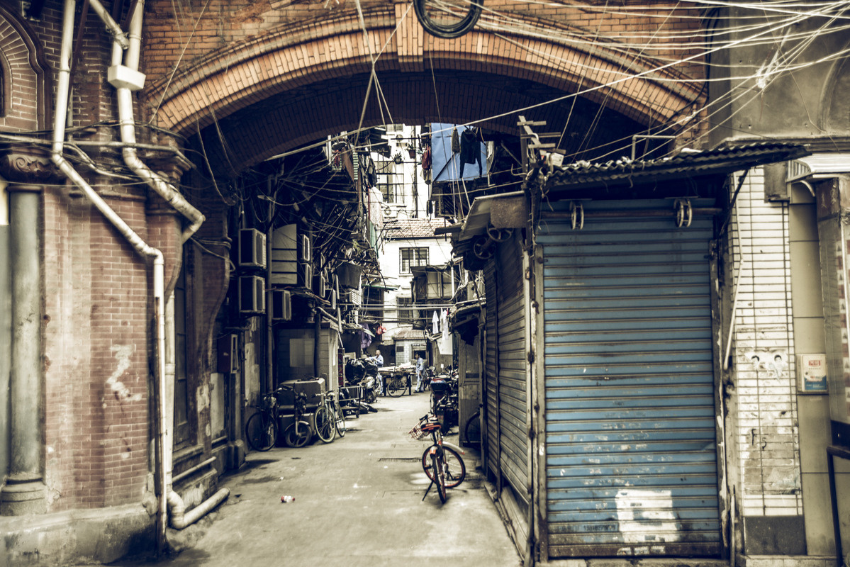 Sangaj. Bojana Žuža fotograf u Beogradu 📷 Belgrade photographer