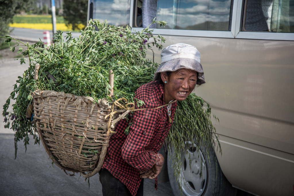 Himalaji i manastiri. Bojana Žuža fotograf u Beogradu 📷 Belgrade photographer