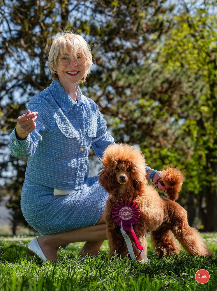 Expo canine   🇫🇷   Mulhouse 5-6/04/2025. Photographe à Strasbourg | Portraits, Studio, Enfants, Événements