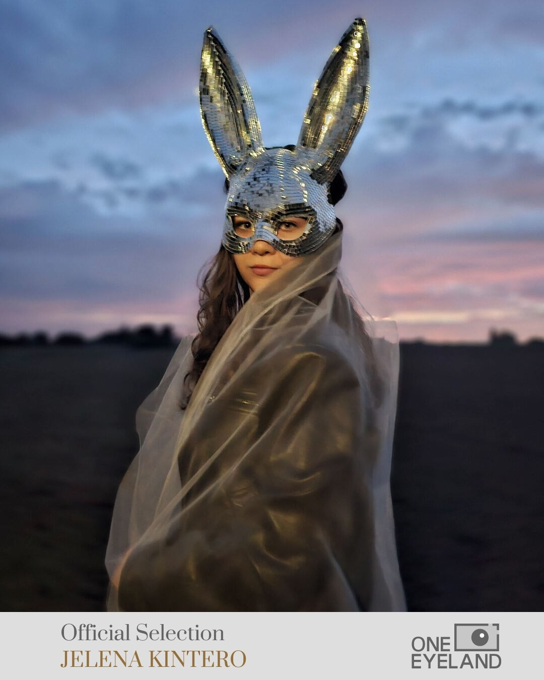 Online Publications. Jelena Kintero ART