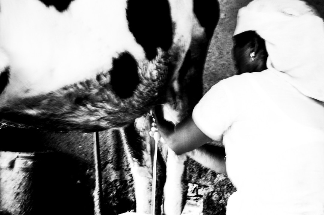 Documentary. Murat Bostan Fotografie für Events, kleine Hochzeiten und Portraitfotografie