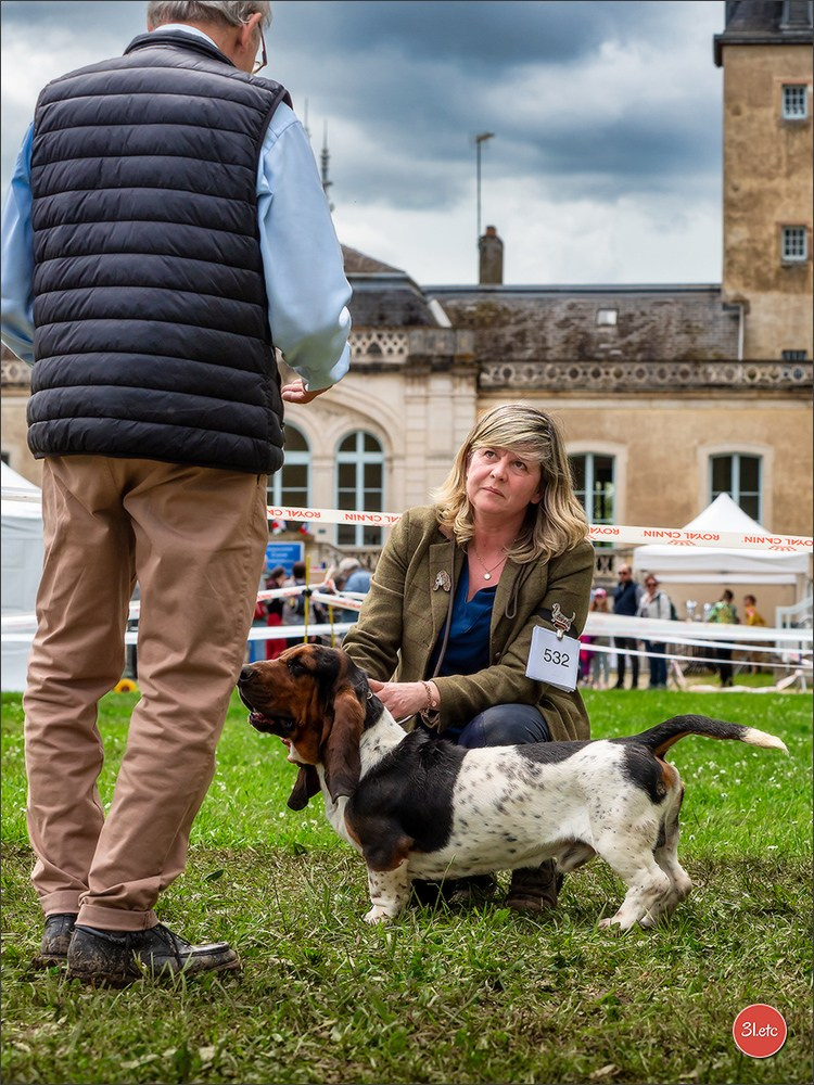 Exposition Canine Nationale  05/05/2024  CHALON-SUR-SAÔNE (Saône-et-Lo. Photographe à Strasbourg | Portraits, Studio, Enfants, Événements