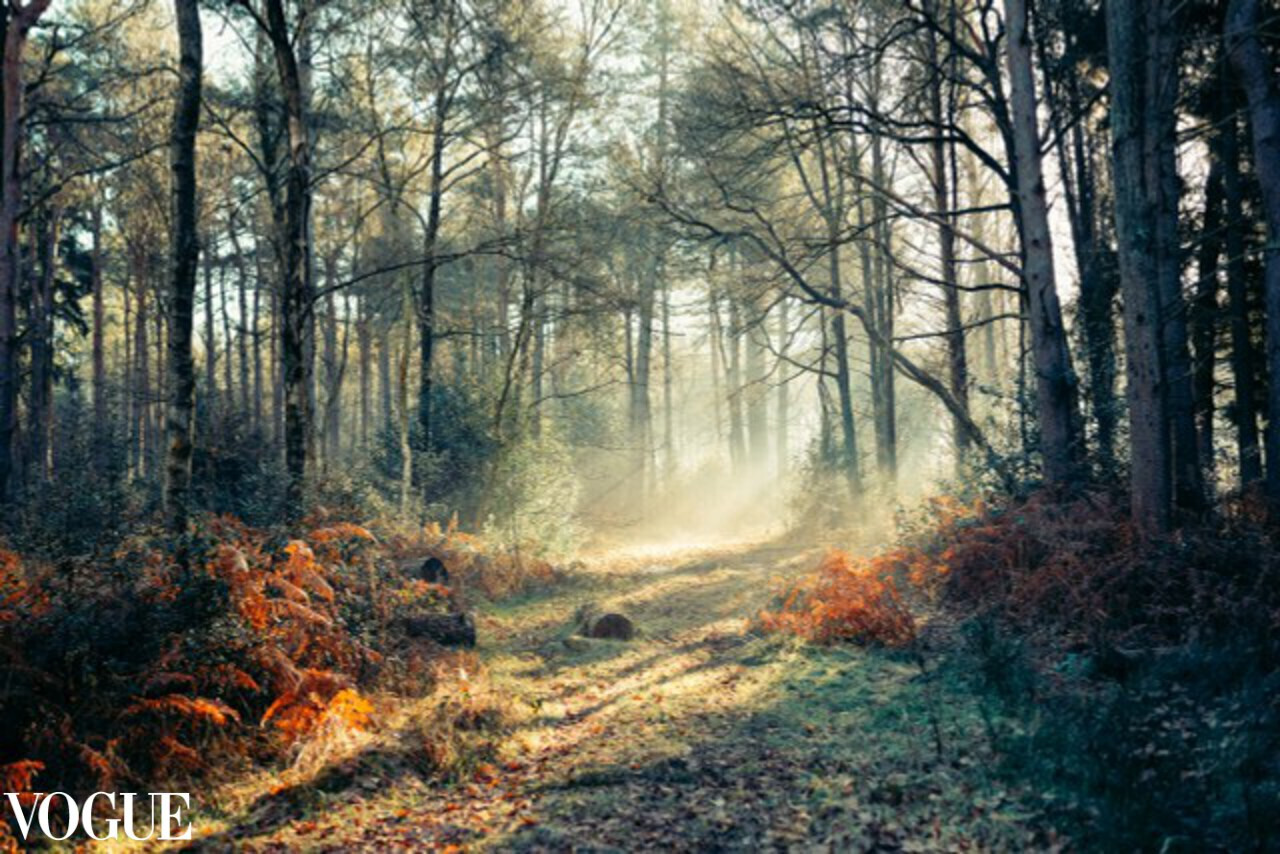 Hay wood photography. VOGUE Irina Zoteeva, nature connection photographer