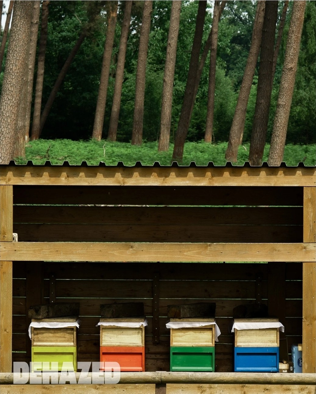 Online Publications. Jelena Kintero ART