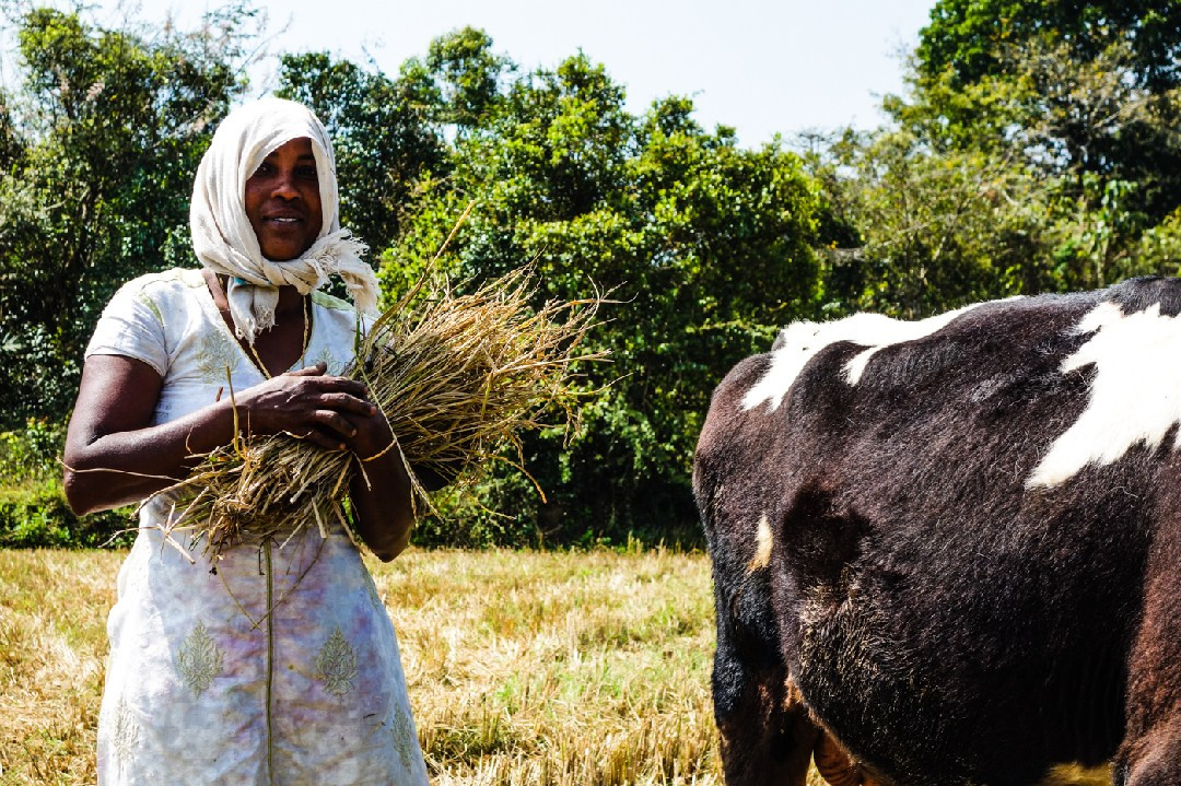 Documentary. Murat Bostan Fotografie für Events, kleine Hochzeiten und Portraitfotografie