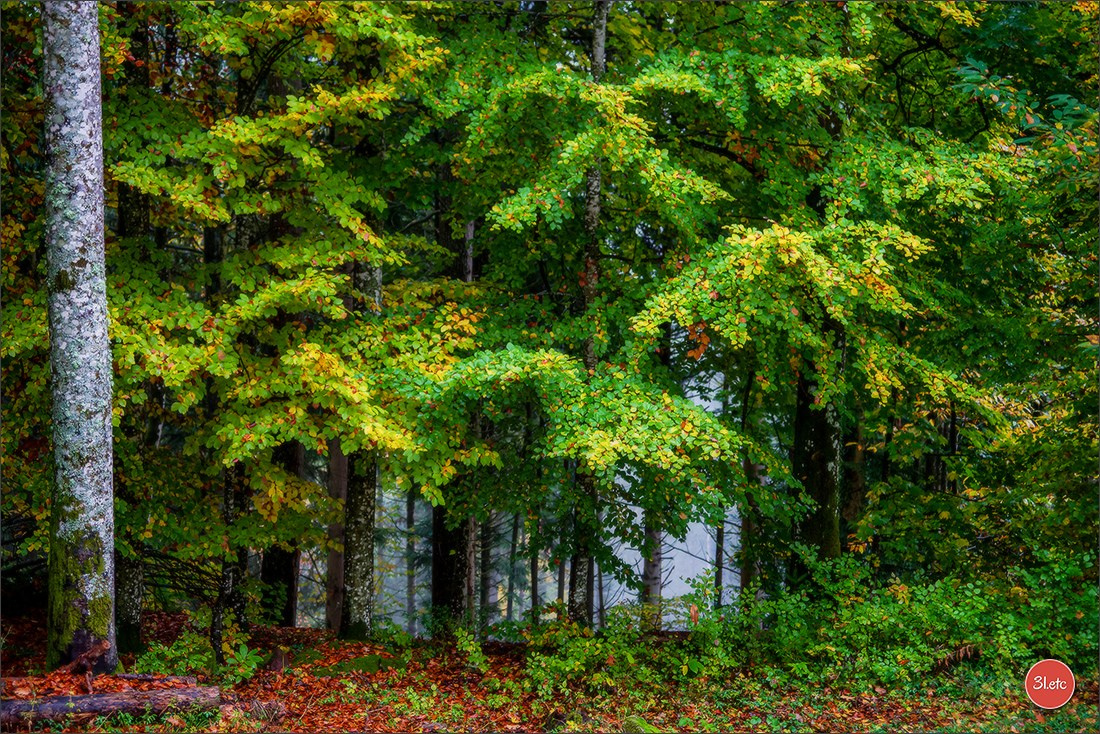 Maria Lang Andlau. Photographe à Strasbourg | Portraits, Studio, Enfants, Événements