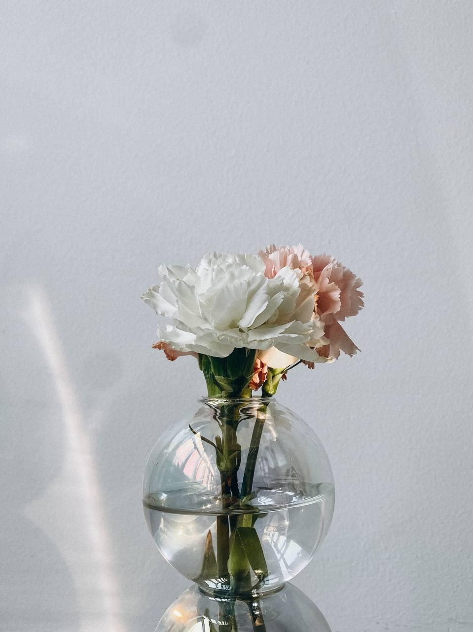 Фотостудия. Фотограф в Варшаве Мария Волкова